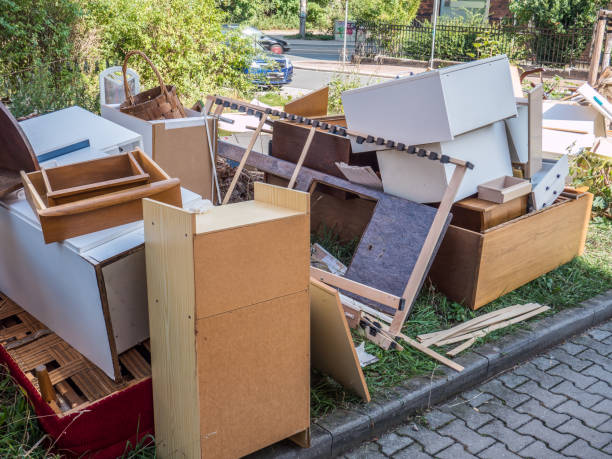 Best Recycling Services for Junk  in Mount Plymouth, FL